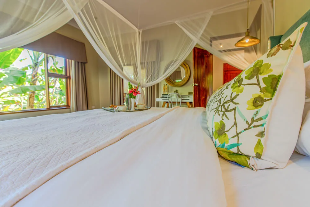 Mosquito-netted double room