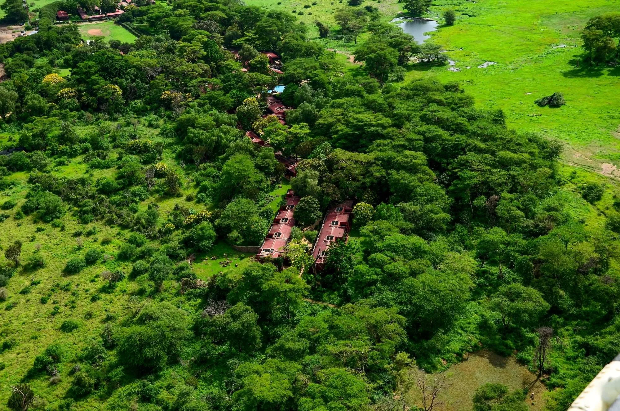 Amboseli Serena Safari Lodge