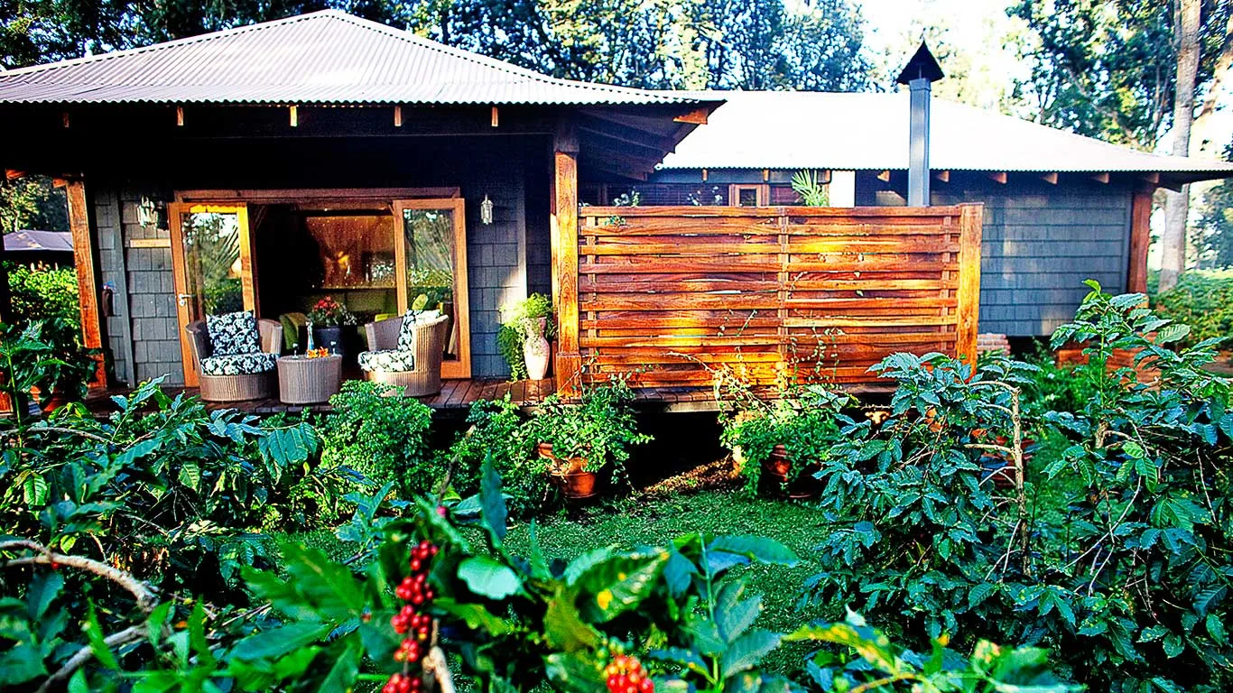 A Plantation Suite cottage set amid the estate's working coffee bushes.