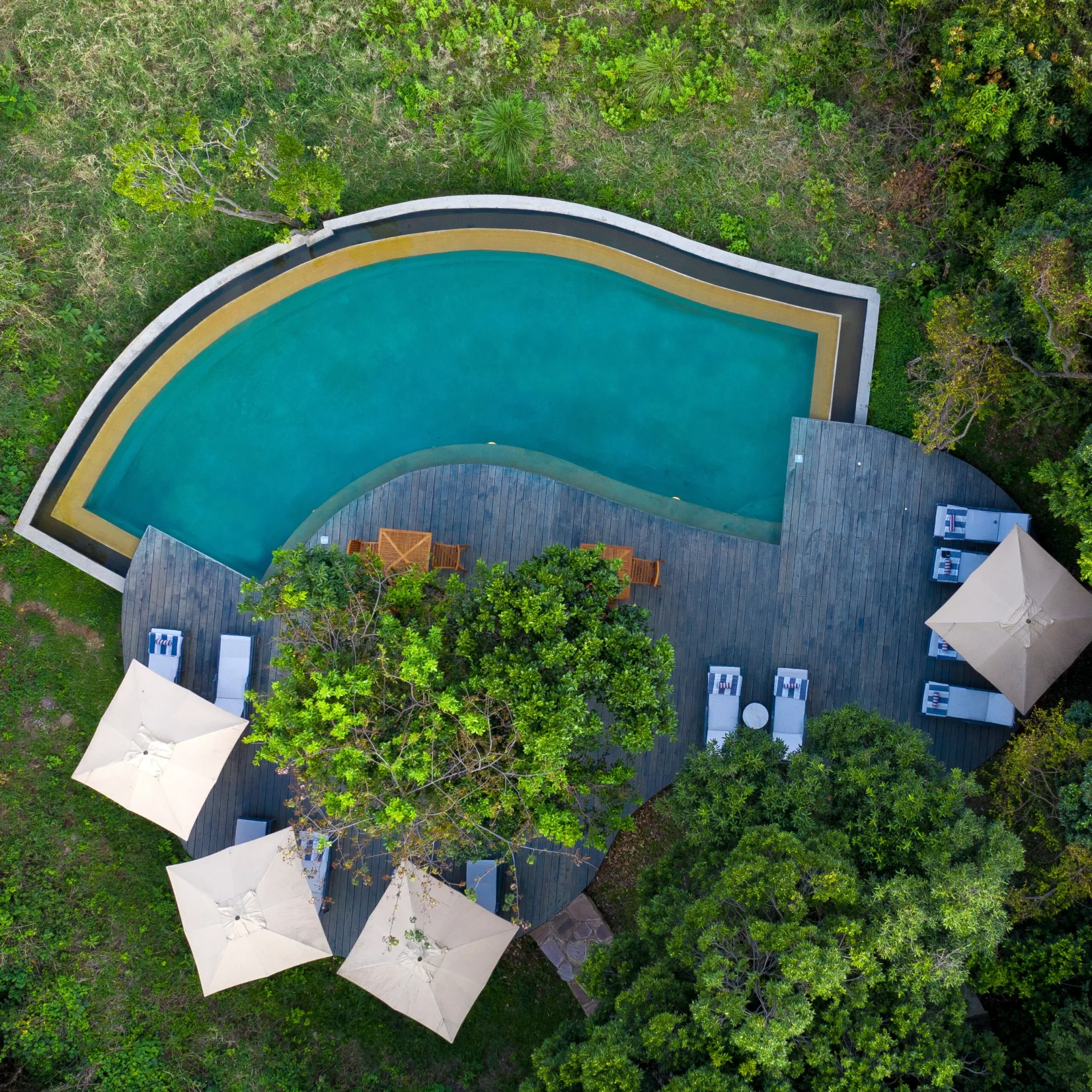 Forest-fringed swimming pool