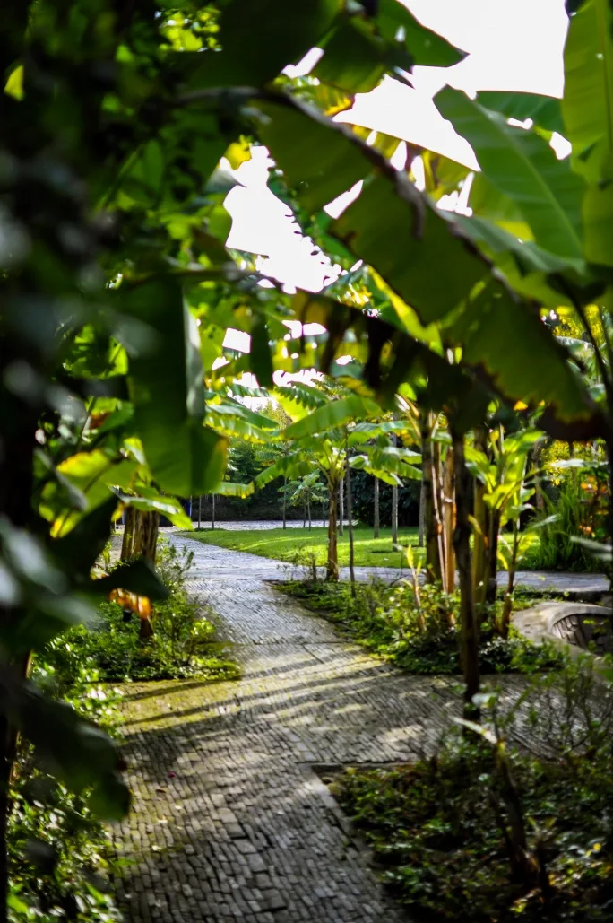 A shaded stone path winds through the property's lush banana gardens.