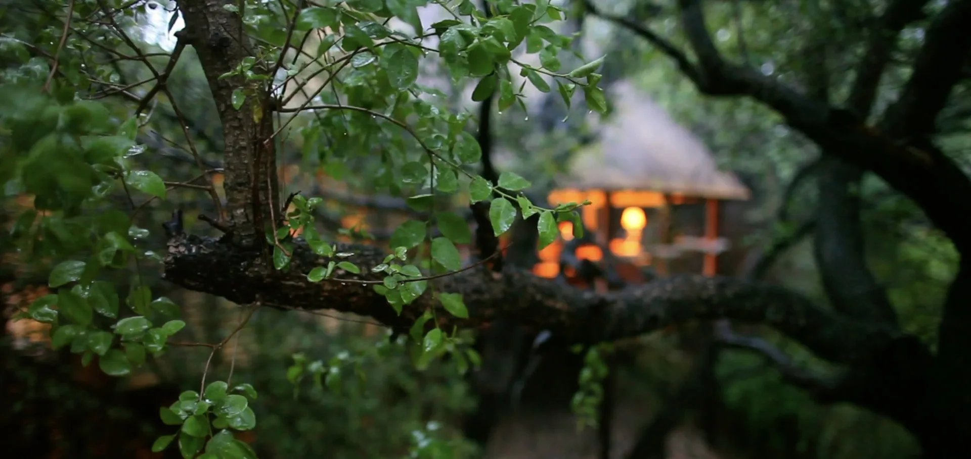 Tented camp in the reserve