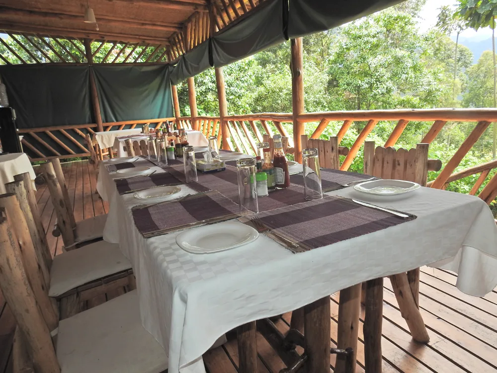 The camp's veranda restaurant, overlooking the surrounding rainforest.