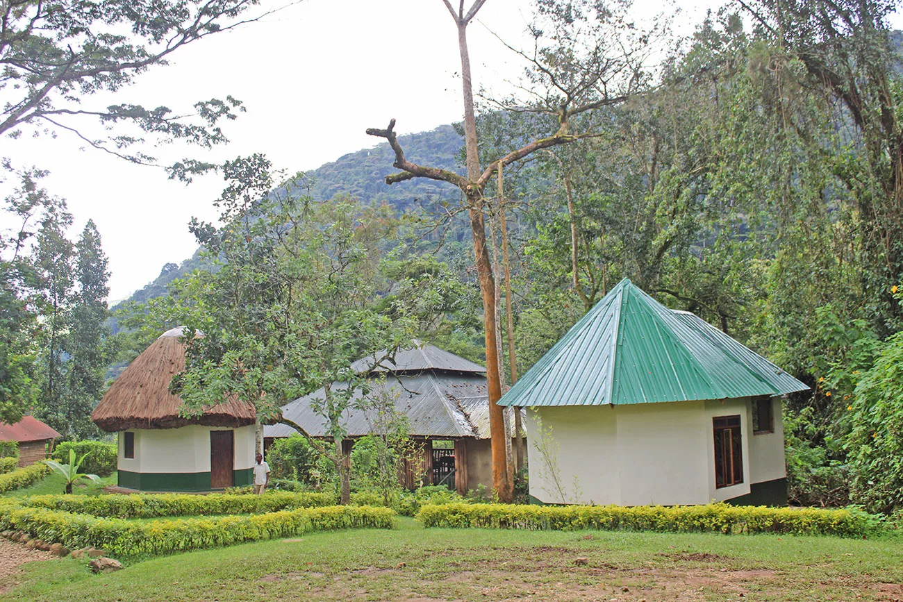 Buhoma Community Rest Camp, Tented Camp in Bwindi Impenetrable National Park