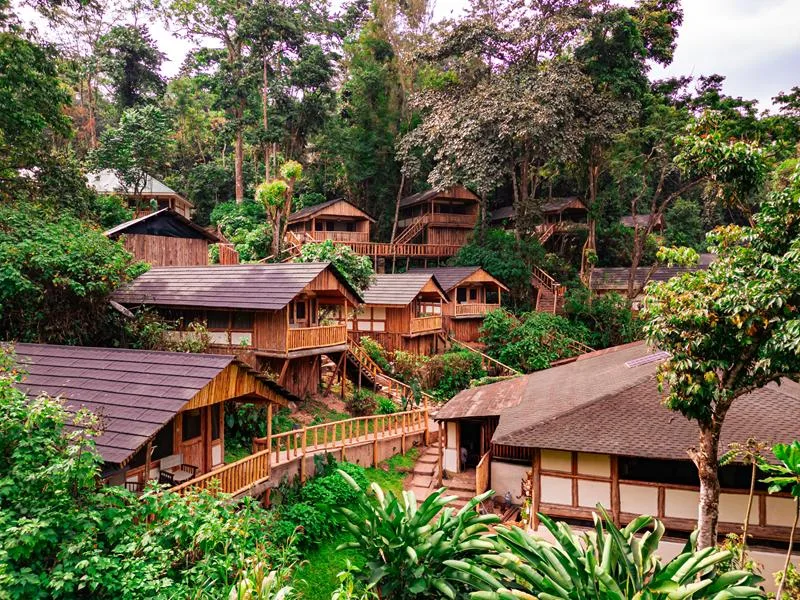 A drone view of the lodge's ten chalets set into the forested hillside.