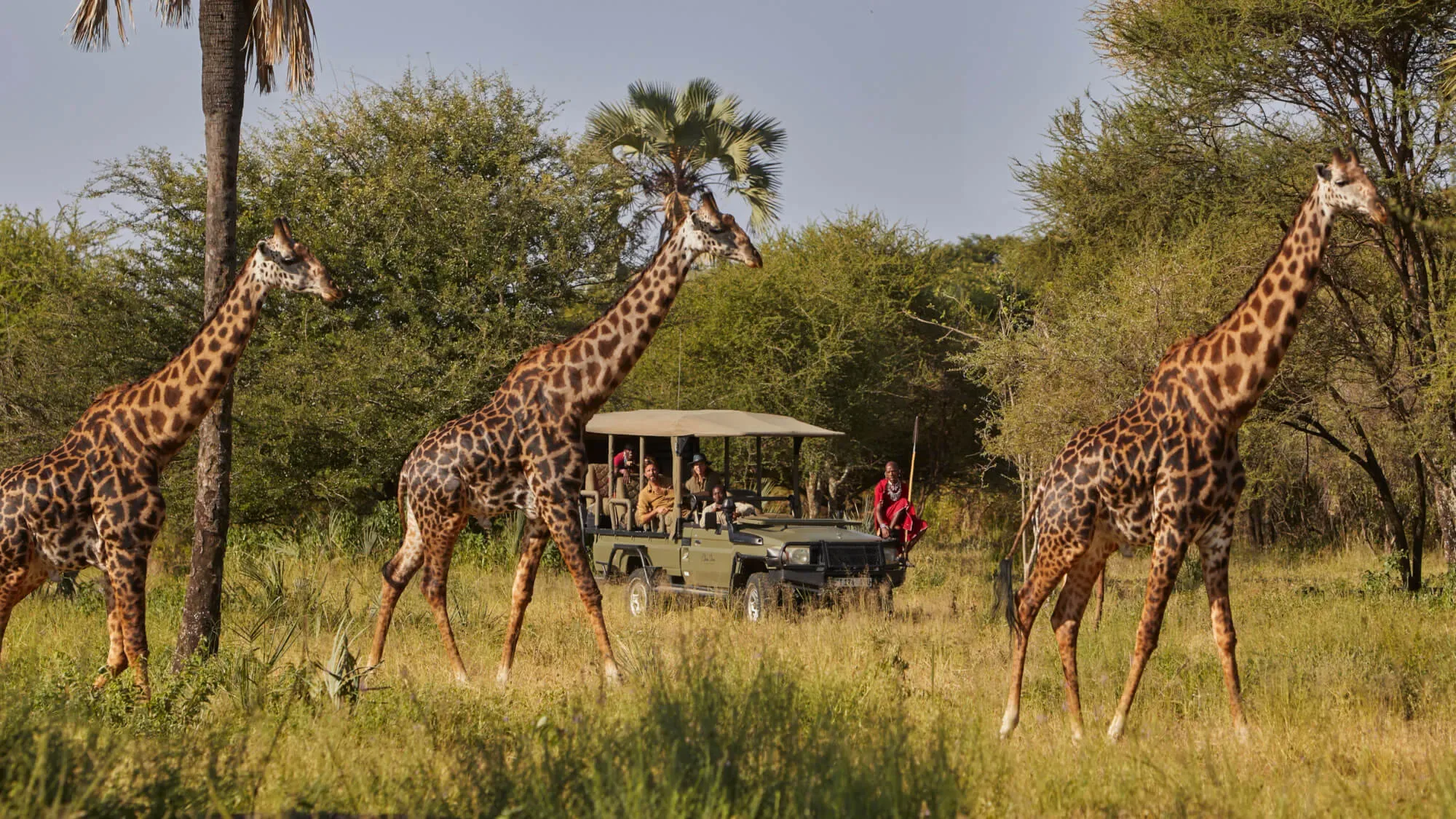 Private game drive