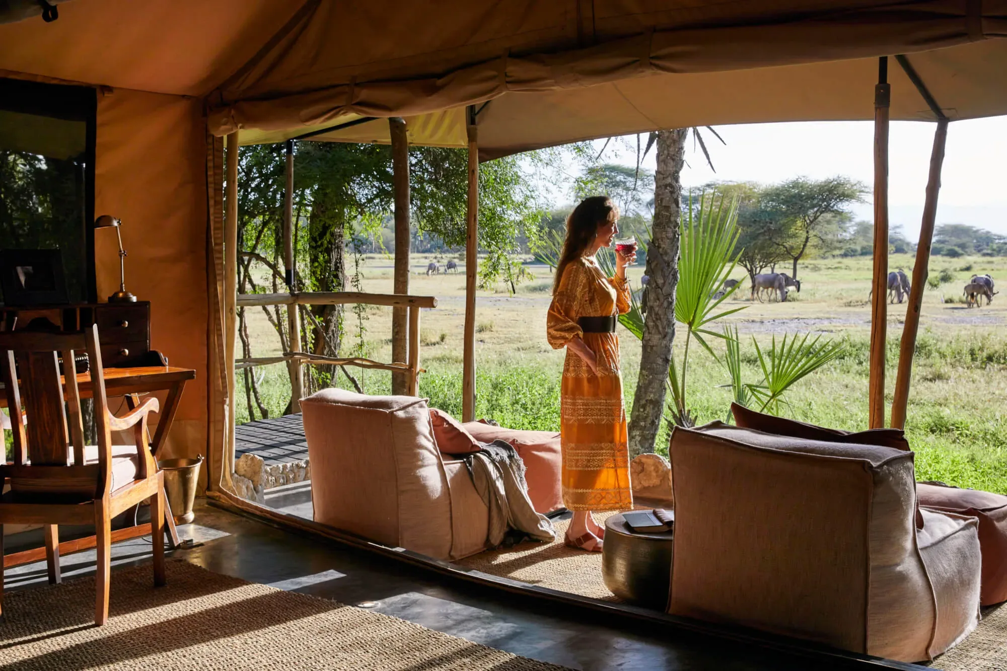 Suite lounge and plains view