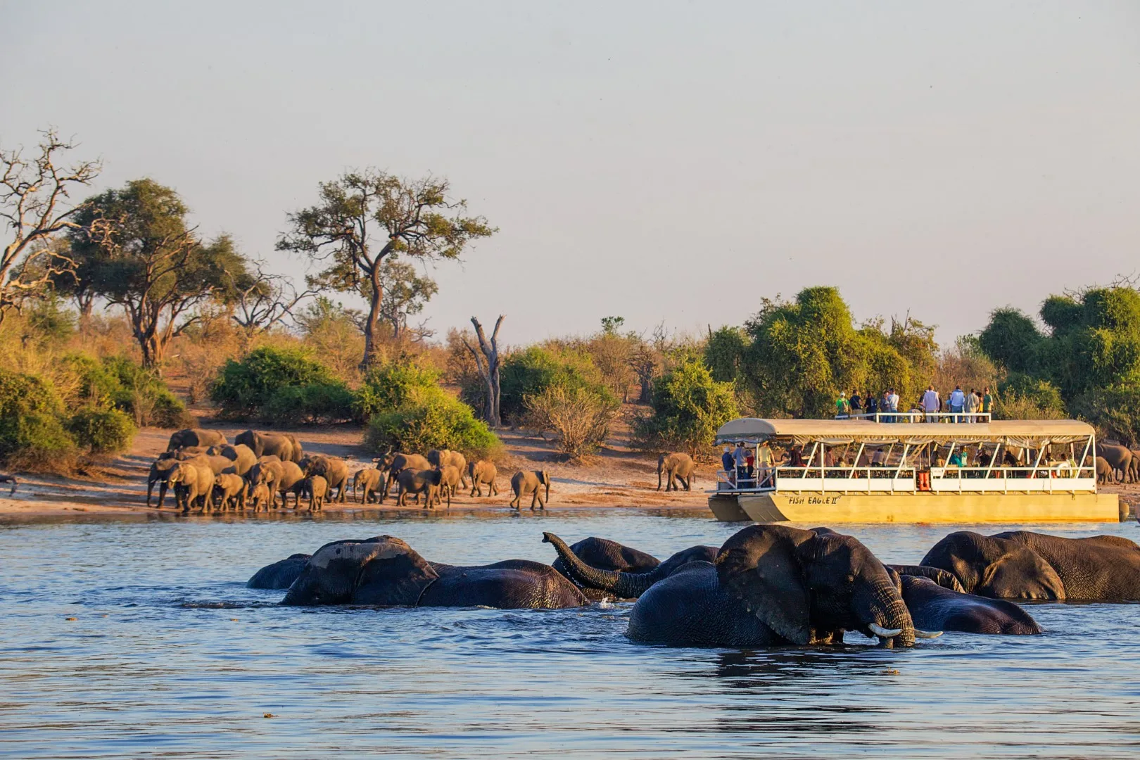 Chobe Safari Lodge