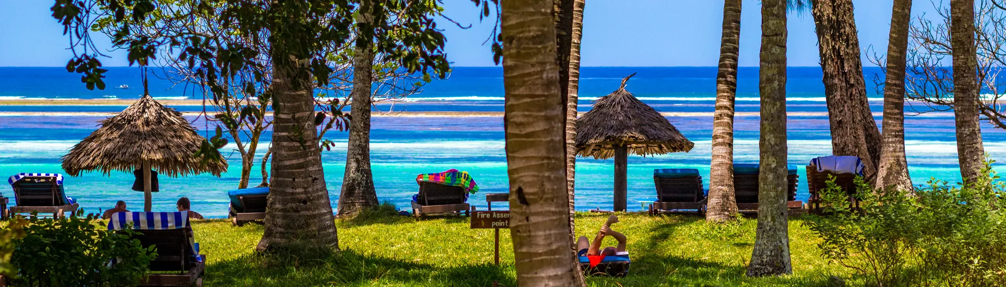 Palm-lined beachfront