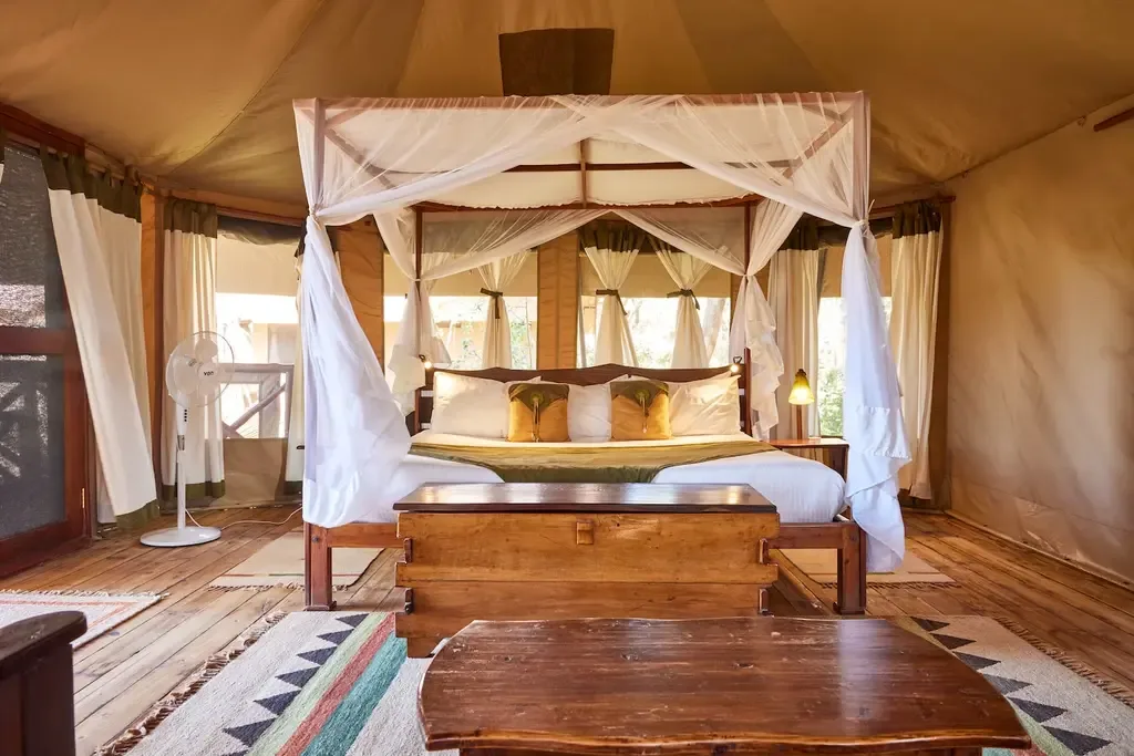 King guest tent