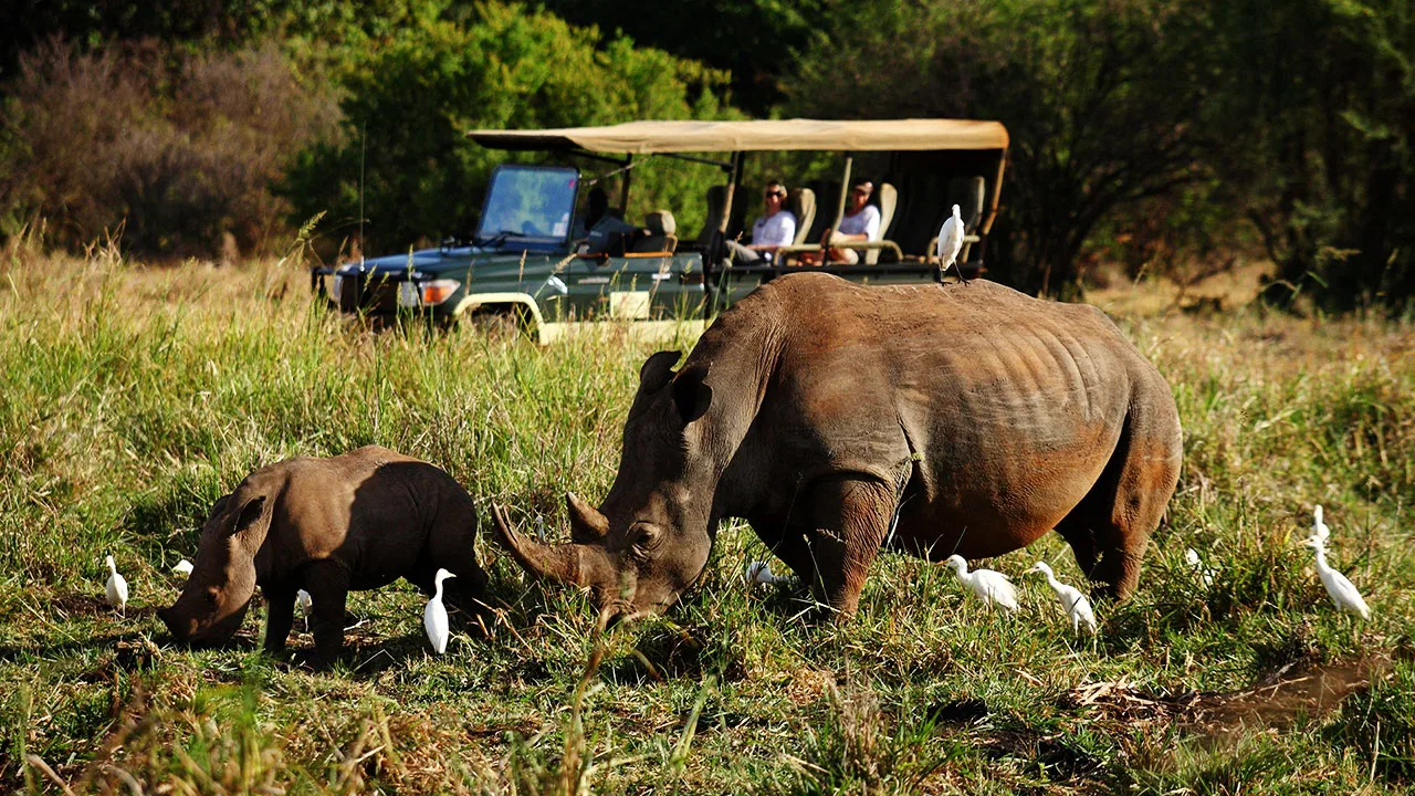 Meru rhino sanctuary