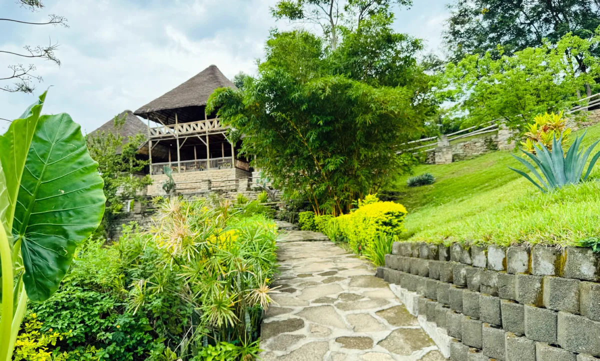 Pathway winding up to one of Enganzi Lodge's thatched cottages