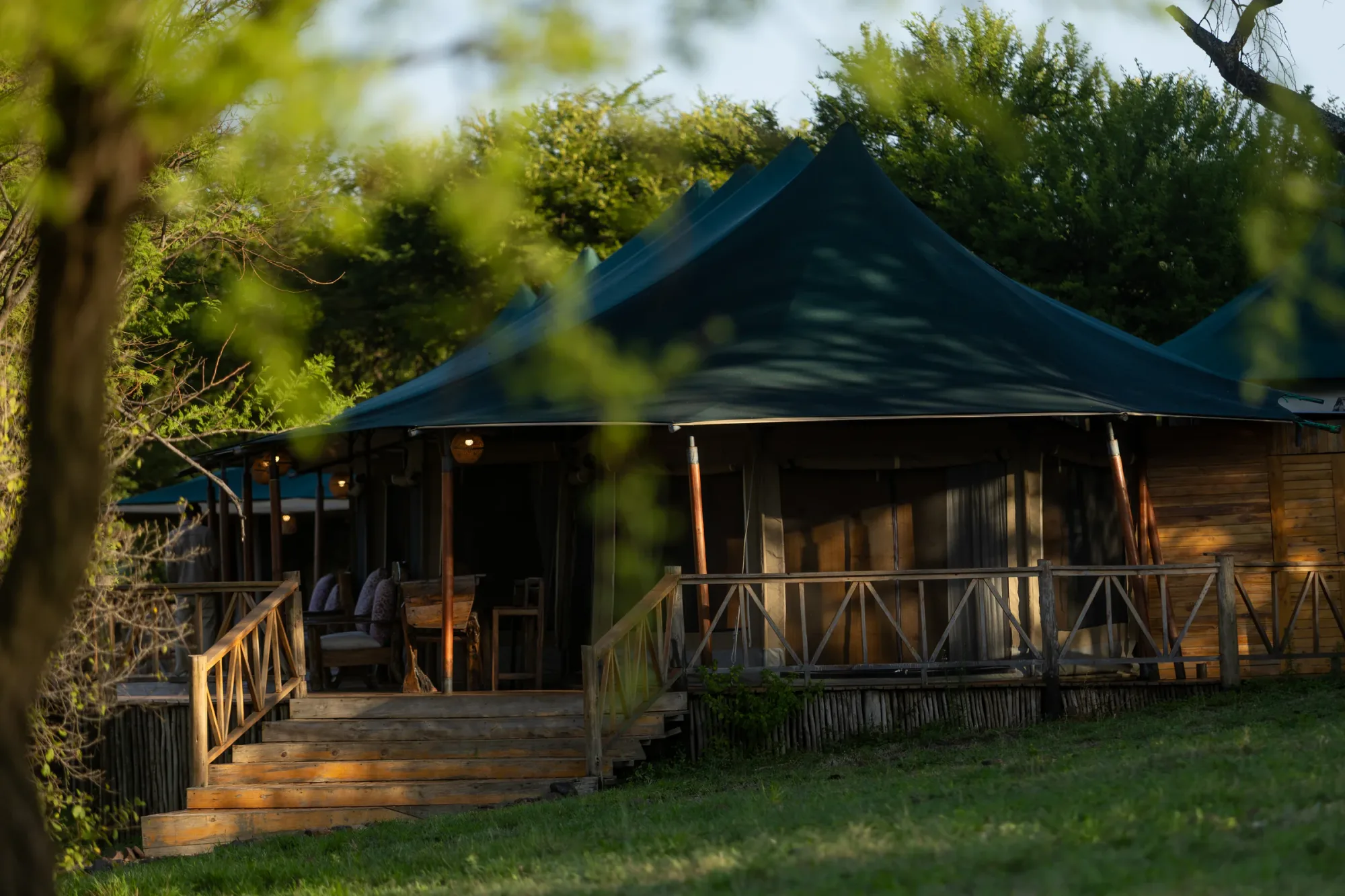 Guest tents are tucked among acacia trees for shade and privacy.