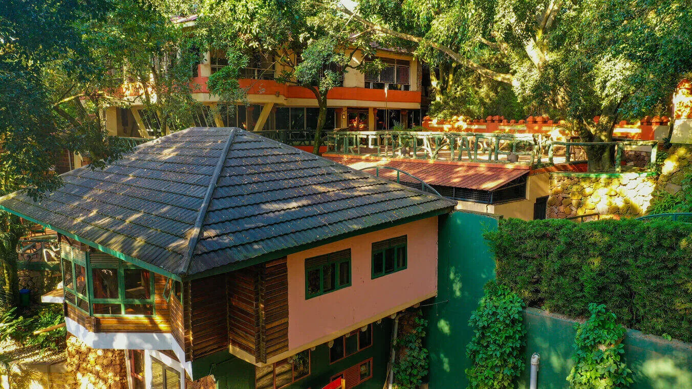 A view across Forest Cottages' green, forested setting