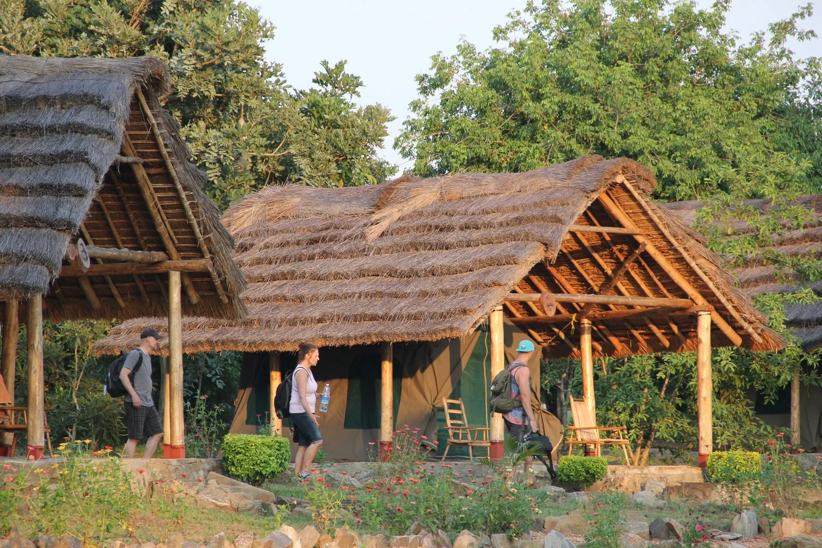 Thatched safari tent