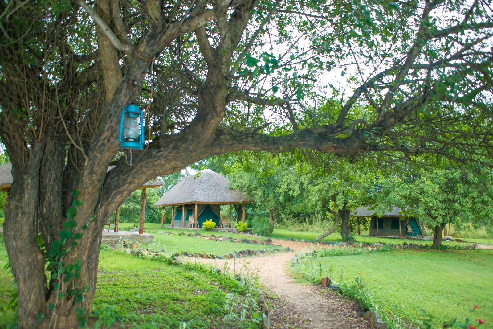 Tent accommodation in the gardens
