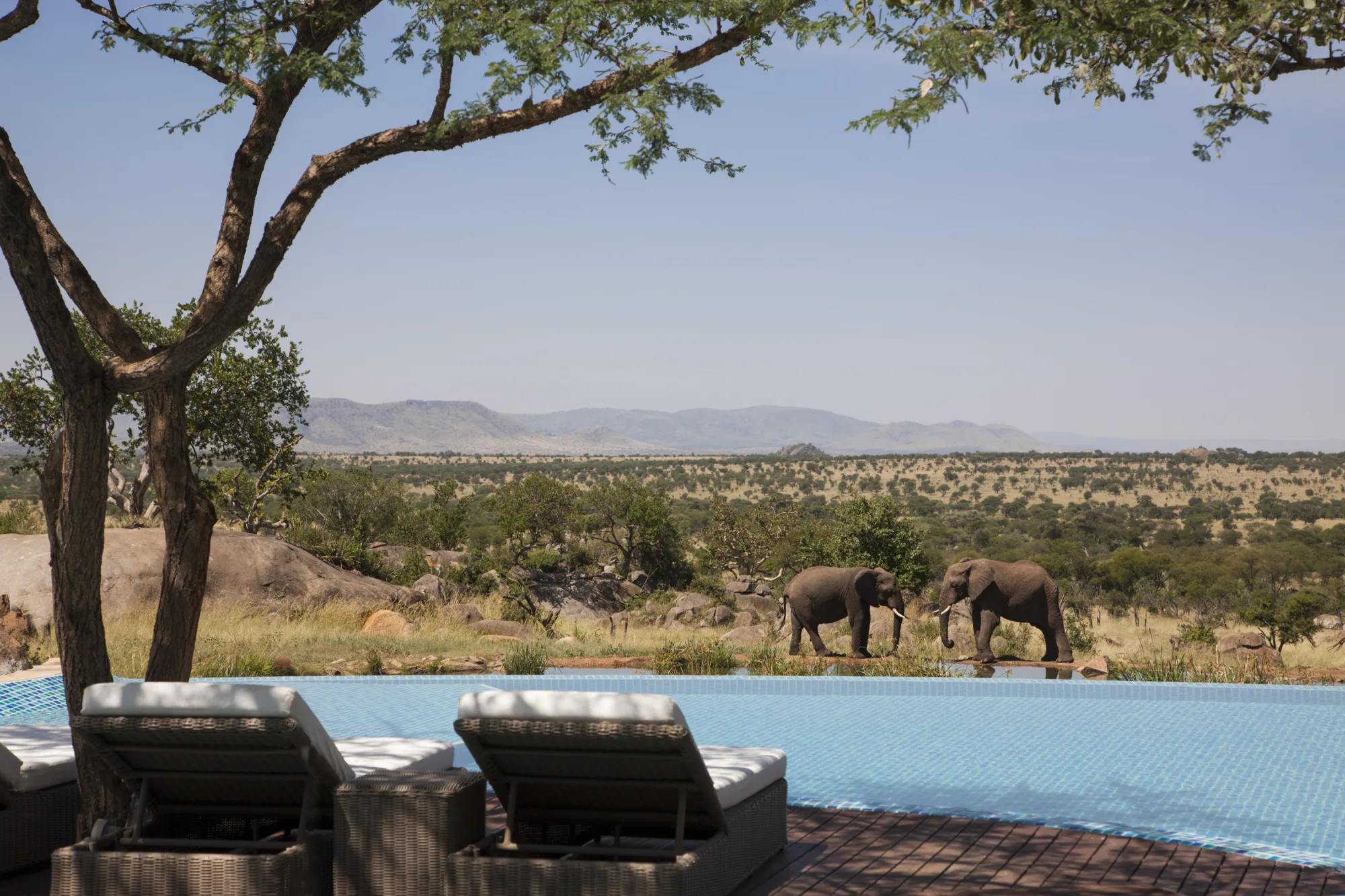 Four Seasons Safari Lodge