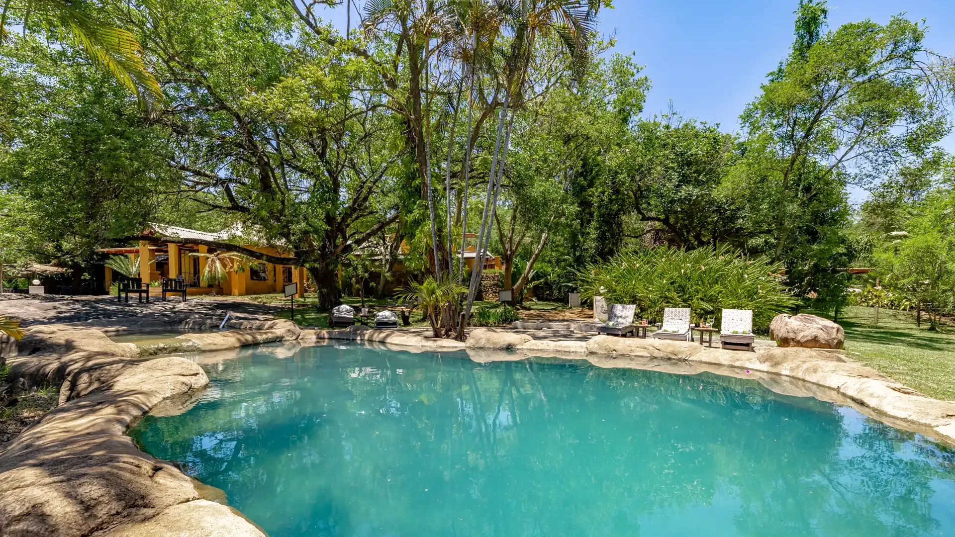 Wooded garden pool
