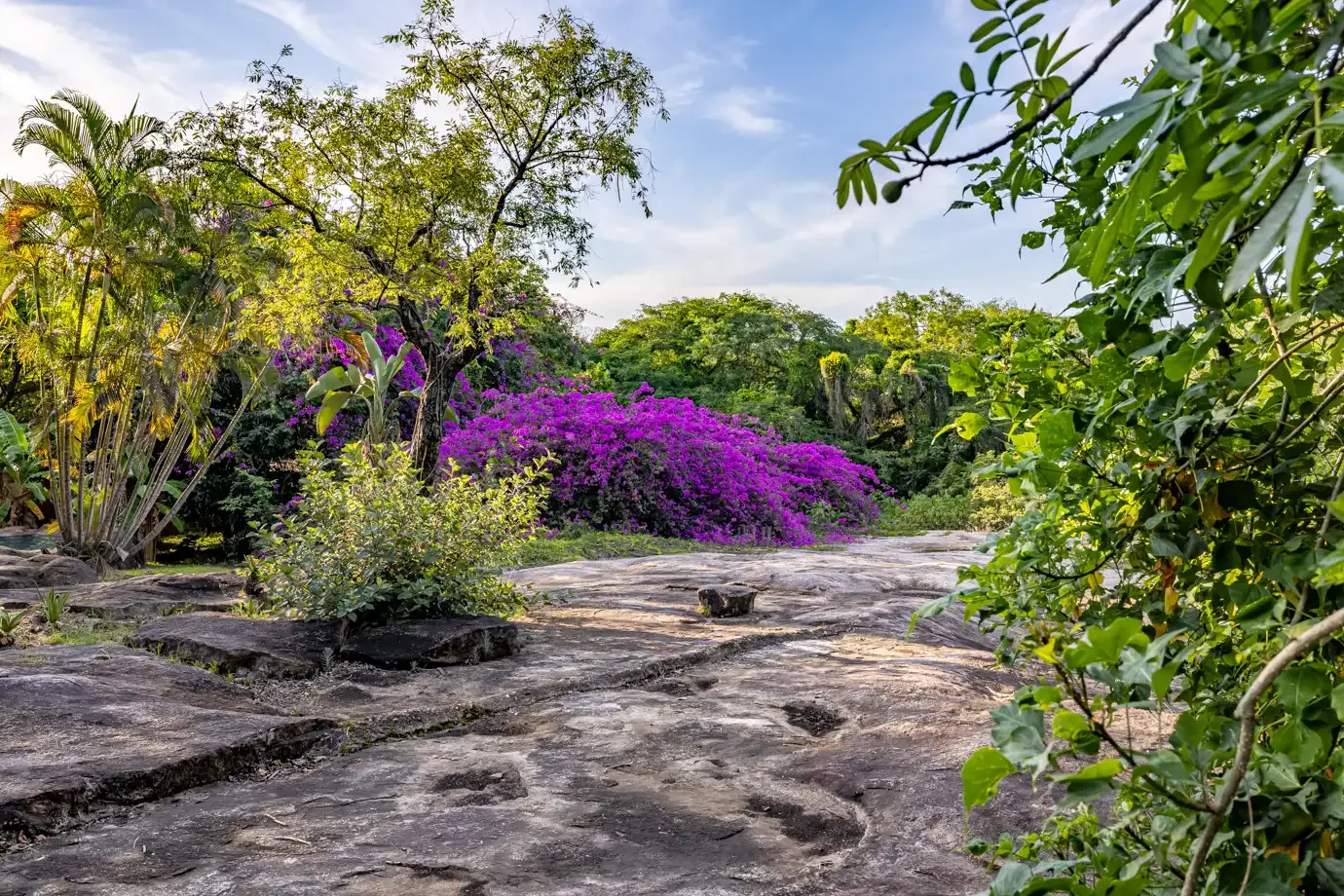 Subtropical lodge garden