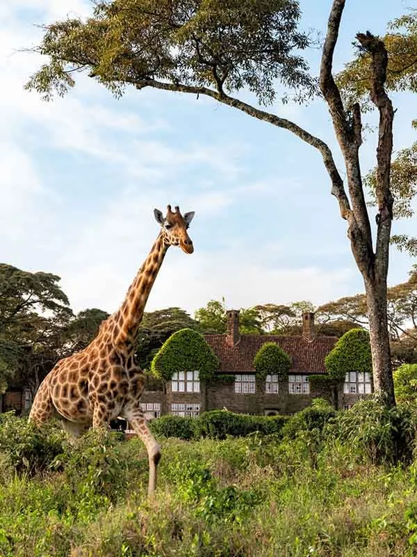 Manor facade across the giraffe grounds
