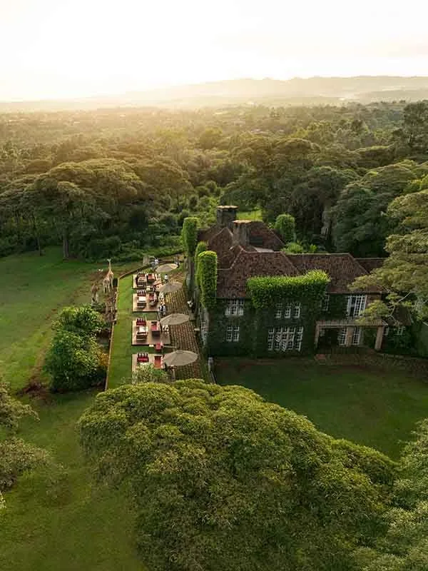 Manor within its wooded sanctuary