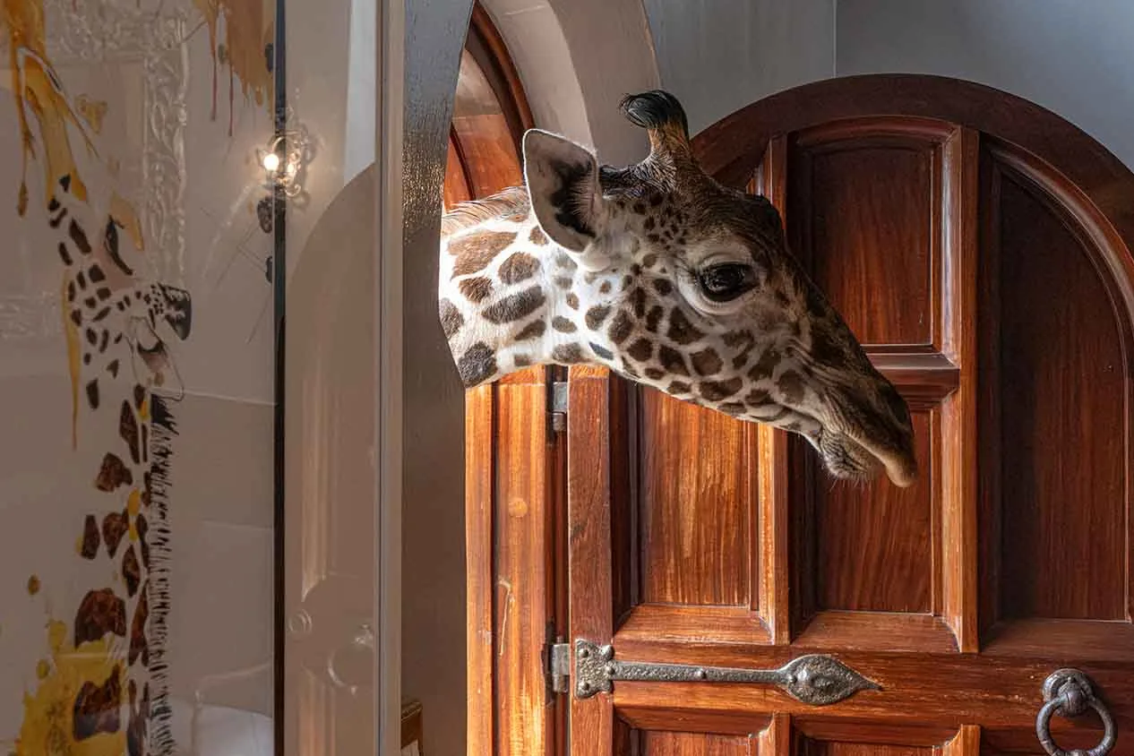 Giraffe Manor