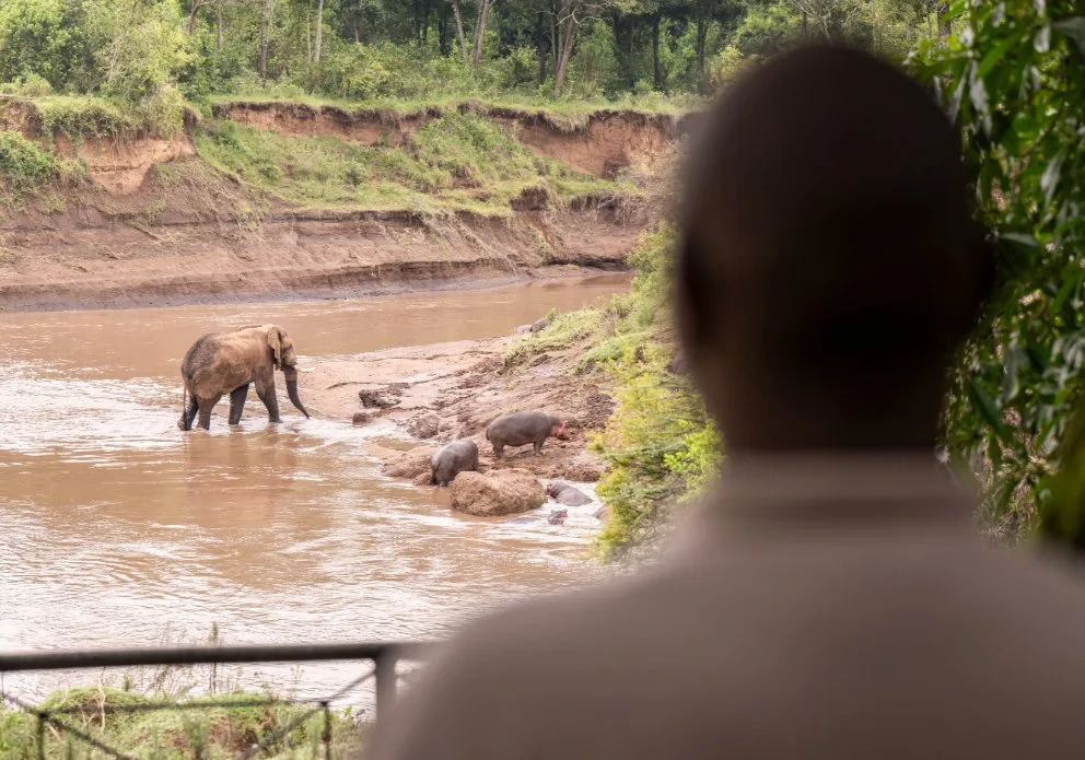 Wildlife visible from the riverside camp