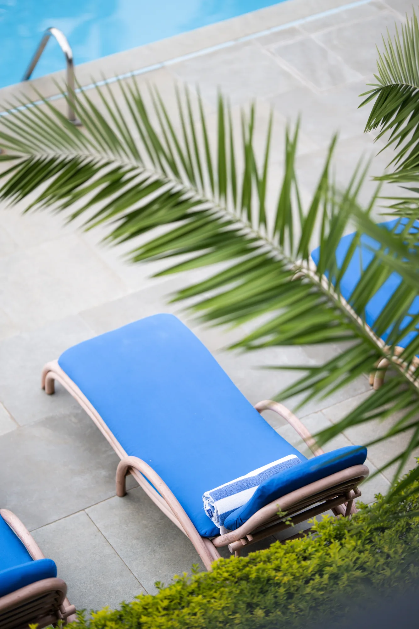 Sun loungers on the pool deck, framed by palms.