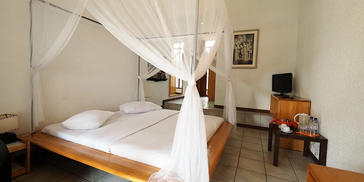 Deluxe guest room