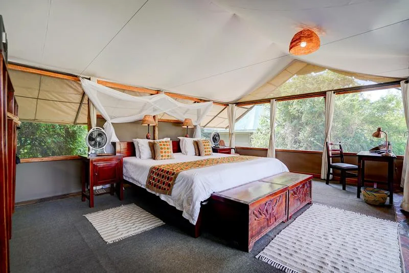 Canvas guest room