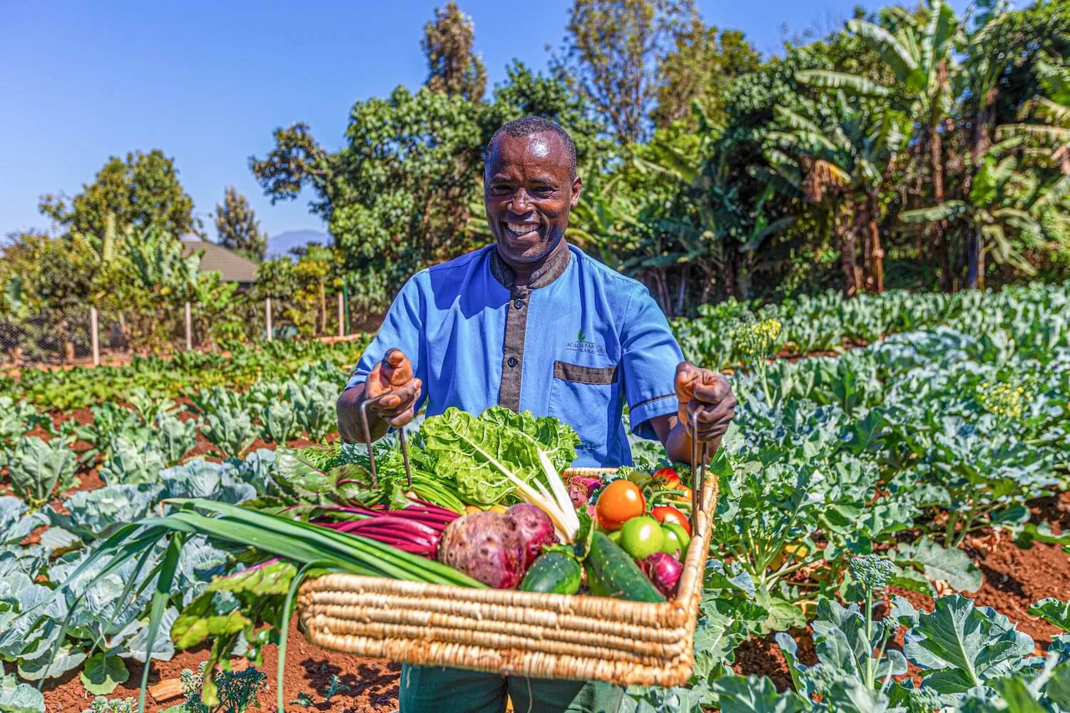 Farm-to-table produce grown on the lodge's own working farm.