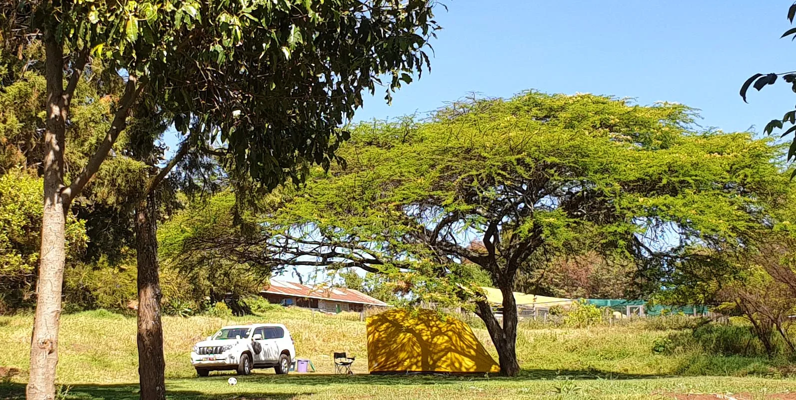 Private farm campsite