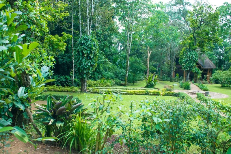 The path to the camp's open-sided restaurant and dining area
