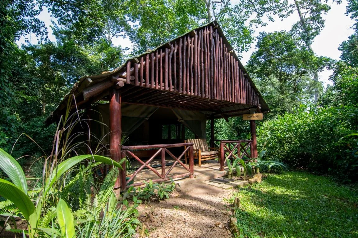 The private veranda of a self-contained safari tent, framed by rainforest
