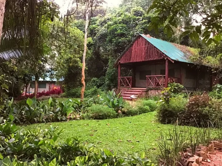 Kibale Forest Camp
