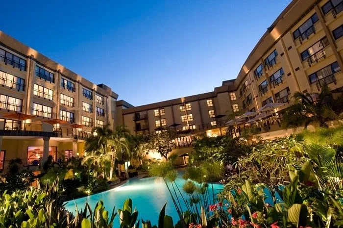 The 18-metre landscaped swimming pool and sundeck.