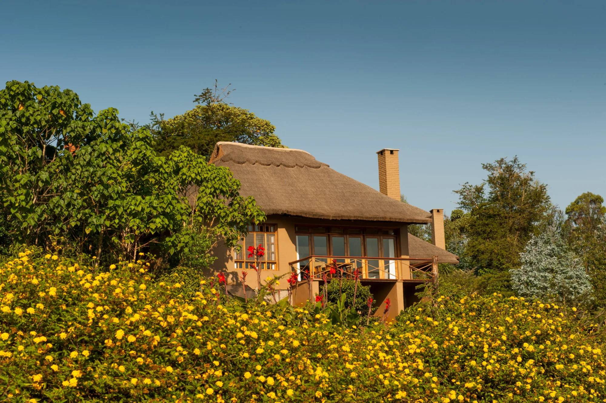 Cottage in the lodge gardens