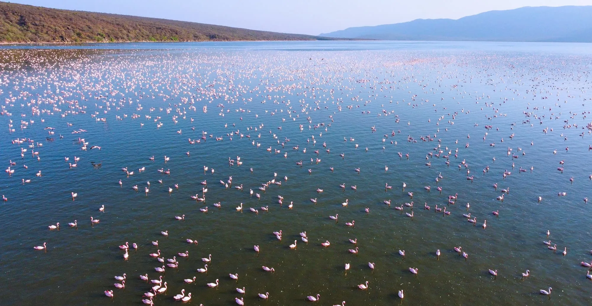 Nearby Lake Bogoria flamingos