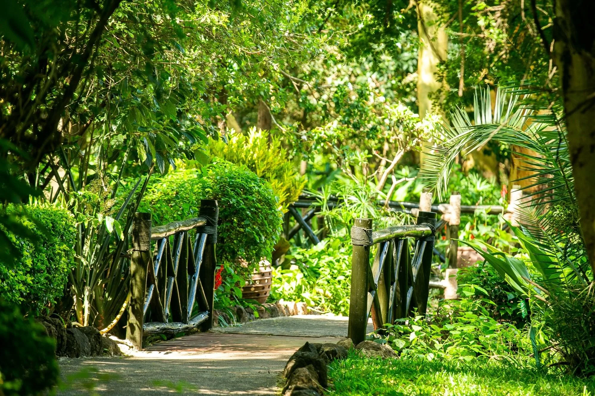 Leafy lodge walkway