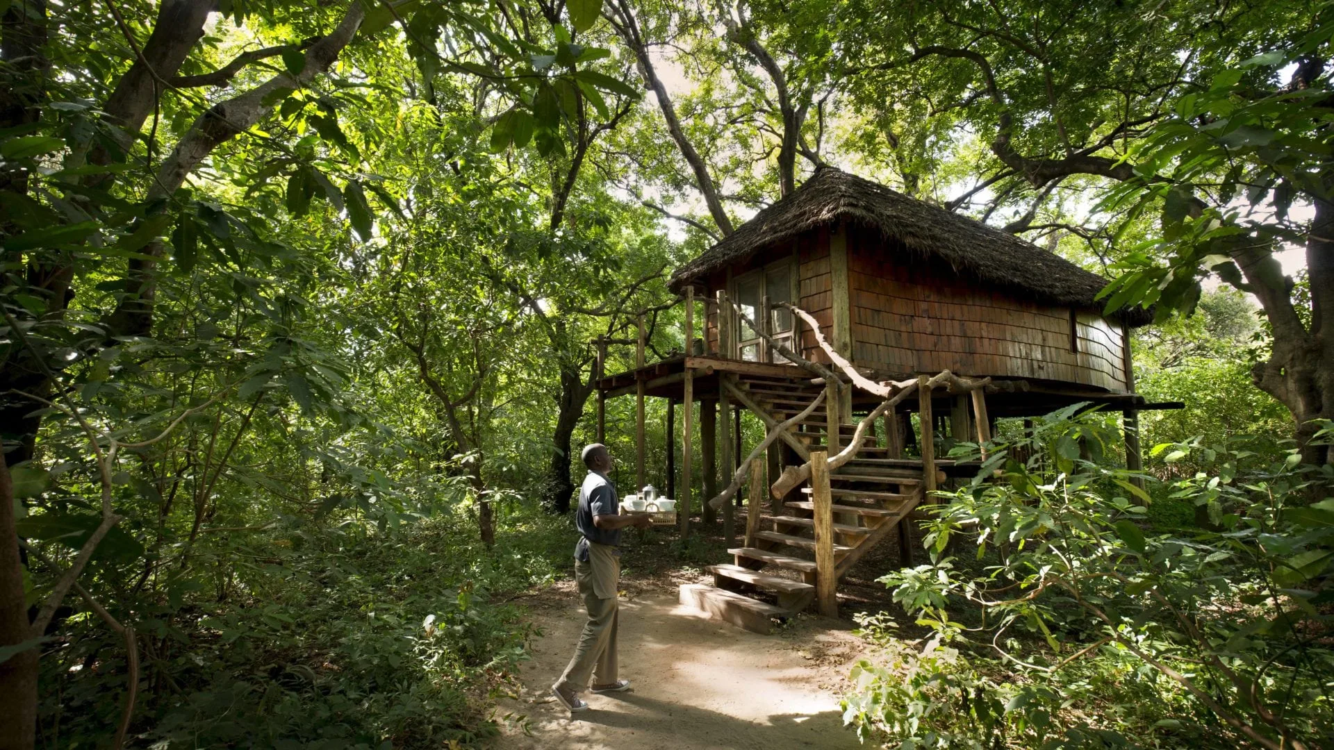 Each suite stands on stilts, elevated into the forest canopy.