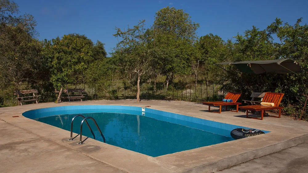 Guests often end a Uganda safari with a swim here before heading to Entebbe