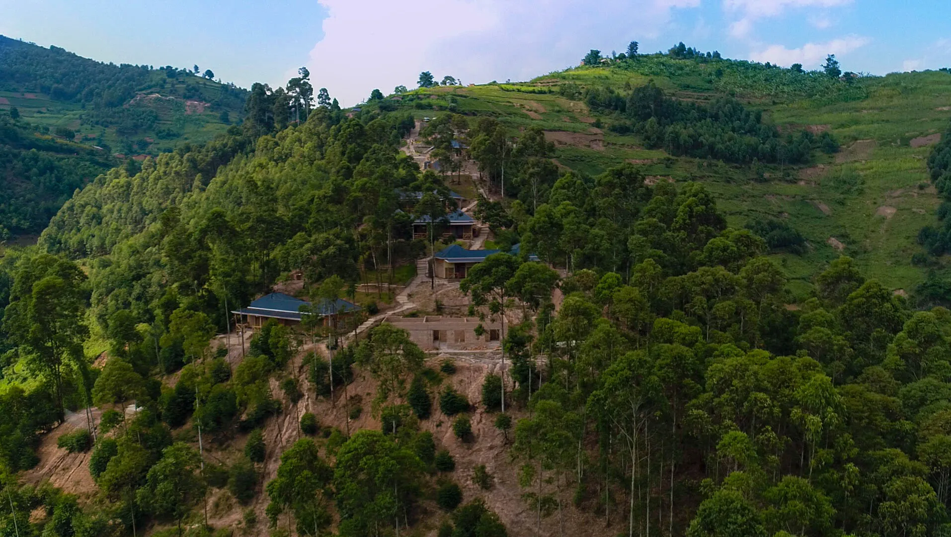 Forested hillside cottages