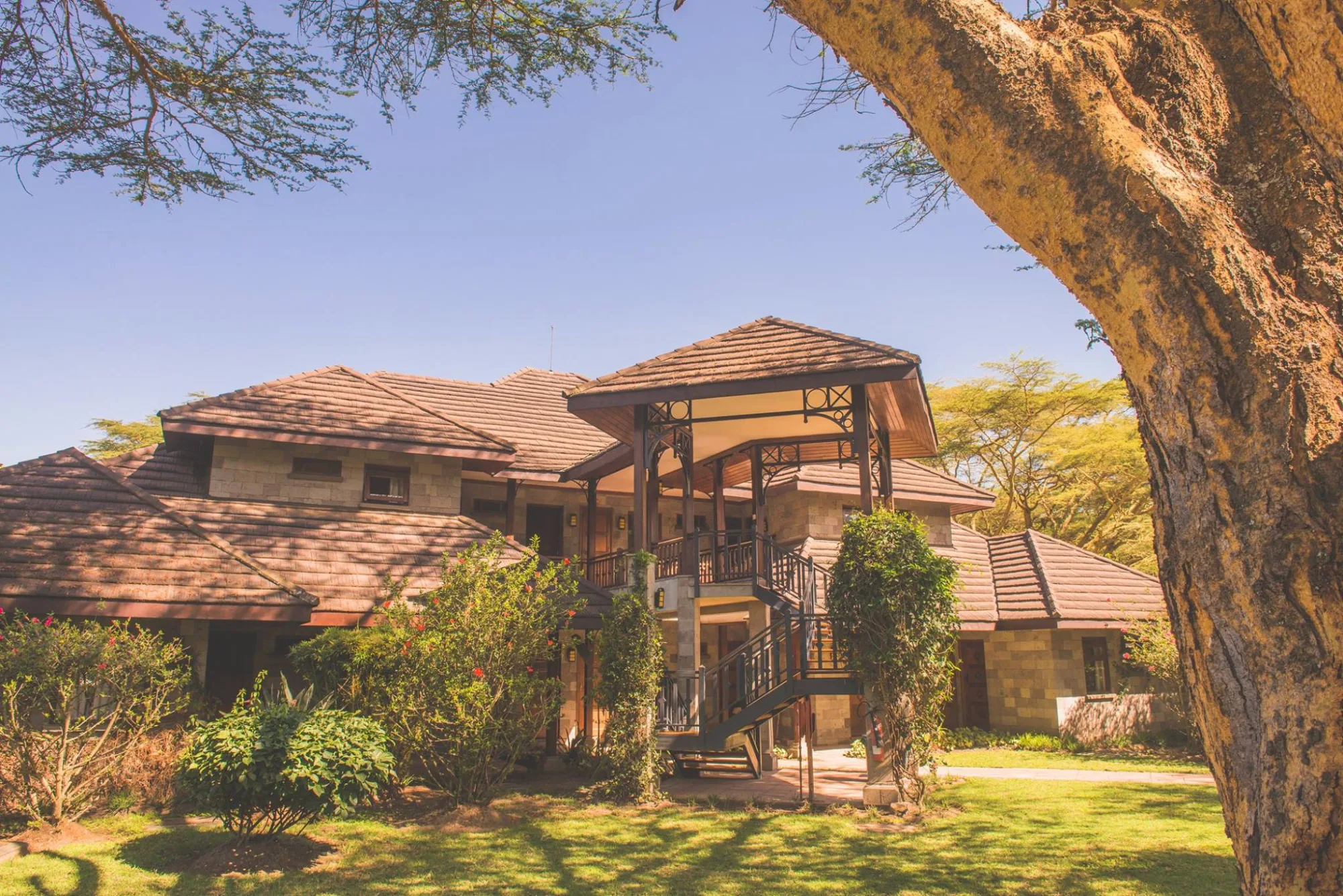 Wooded lodge grounds