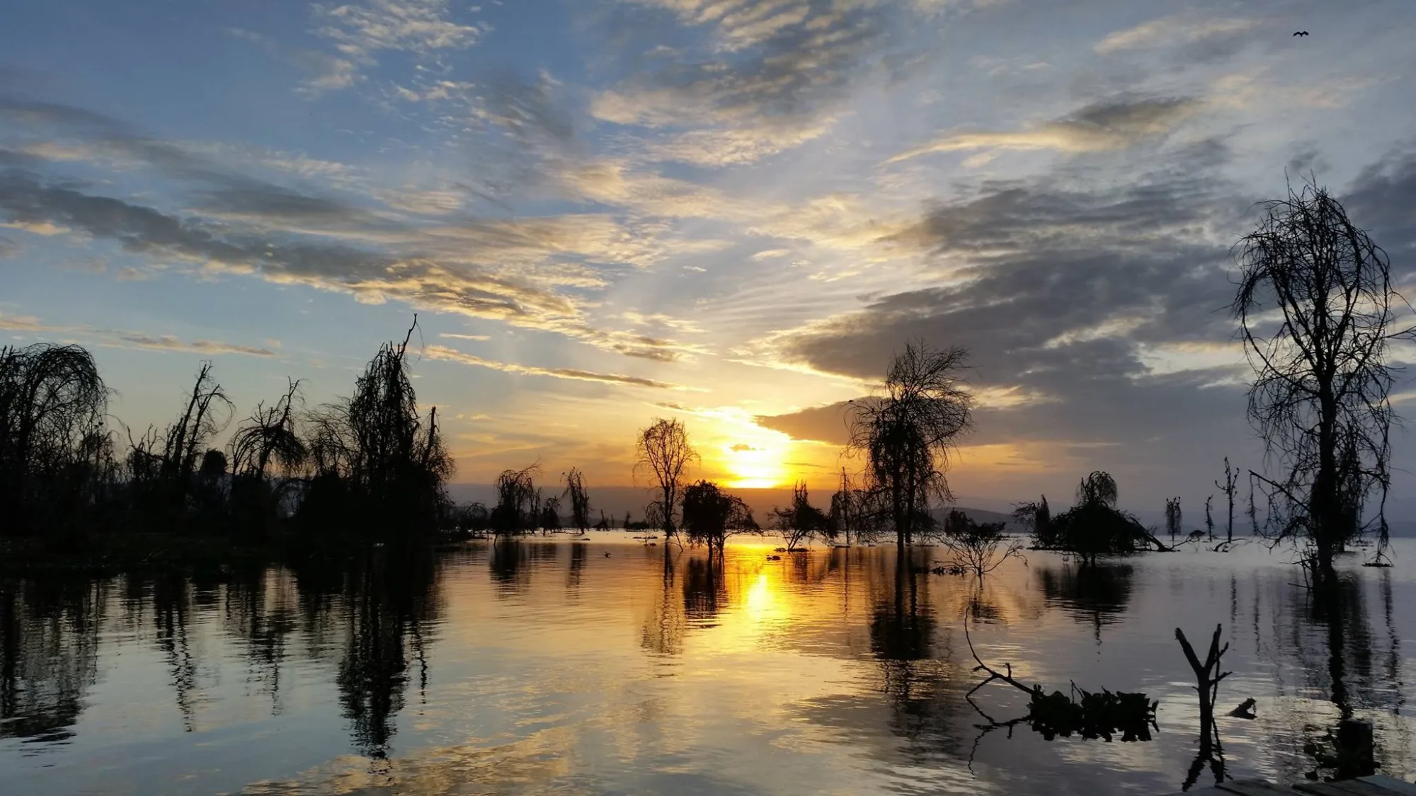 Lake Naivasha wetlands sunset