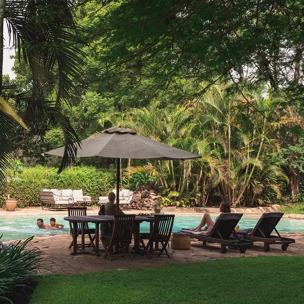 The garden swimming pool, shaded by palms and tropical planting