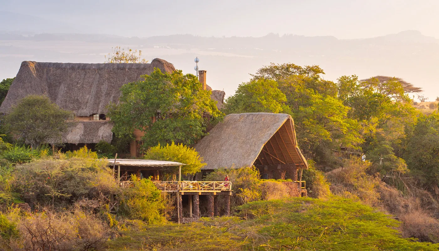 Thatched wilderness cottages