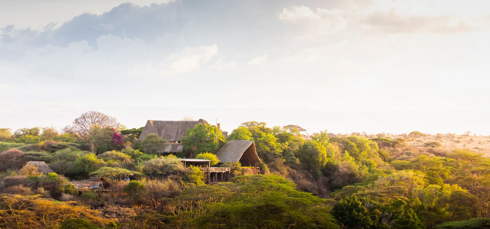 Lewa Wilderness Camp