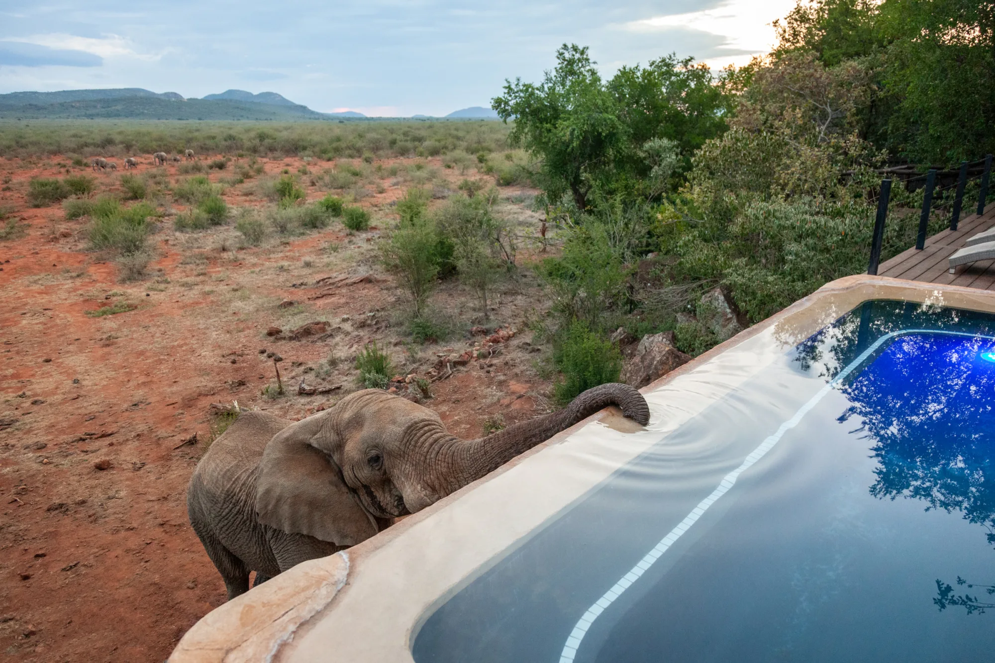 Waterhole-facing pool deck