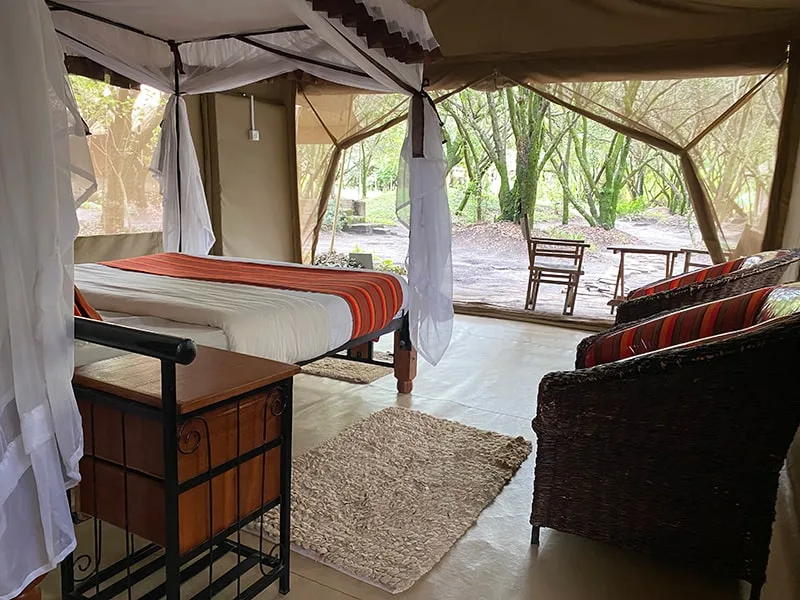 Mosquito-netted tent interior