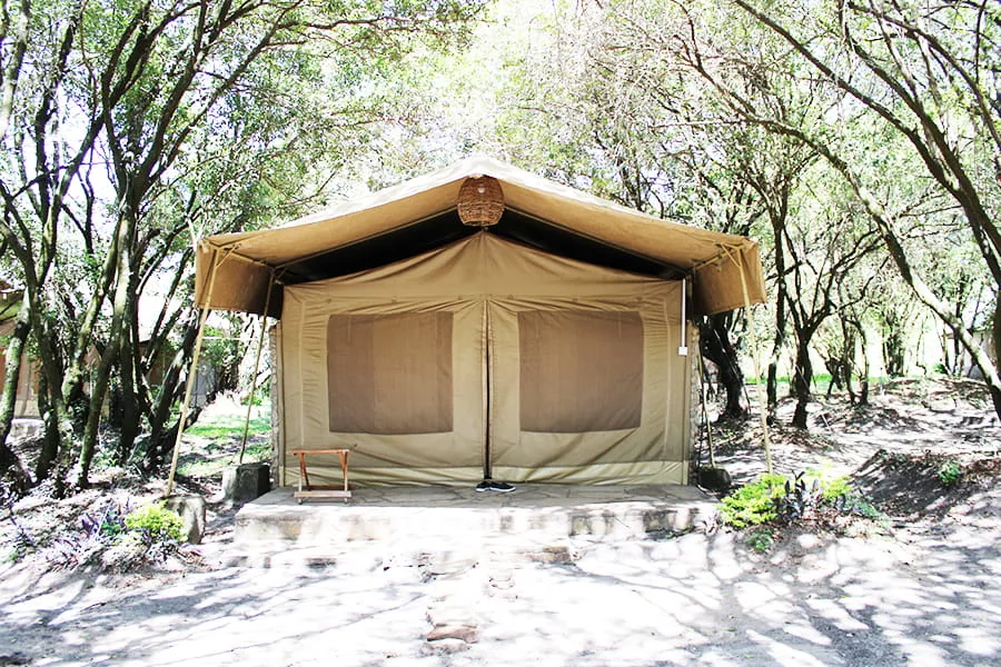 Mara Enchoro Camp, Tented Camp in Masai Mara National Reserve
